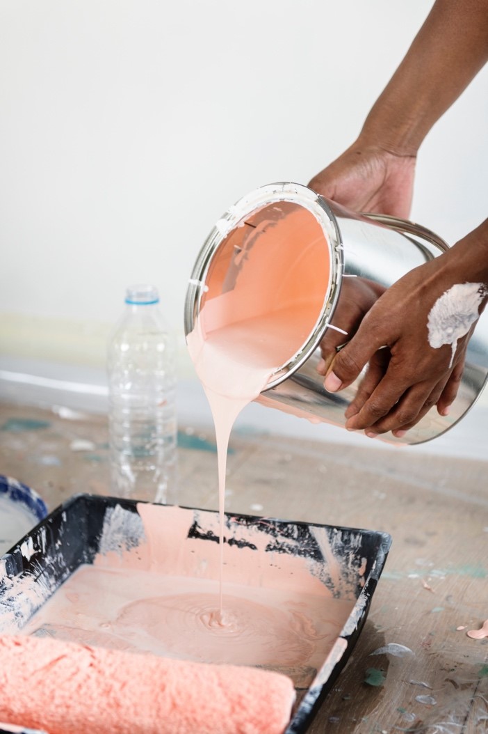 iPainter Wall Painting